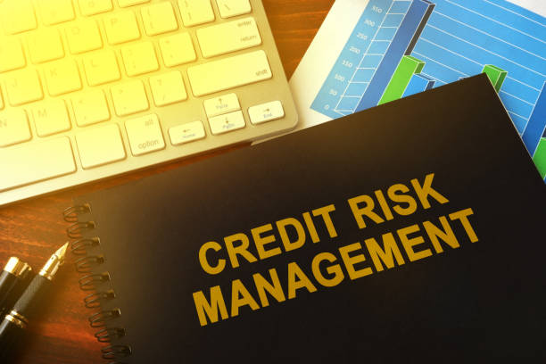 Credit Risk Management Automation: Enhancing Efficiency and Reducing Financial Risk